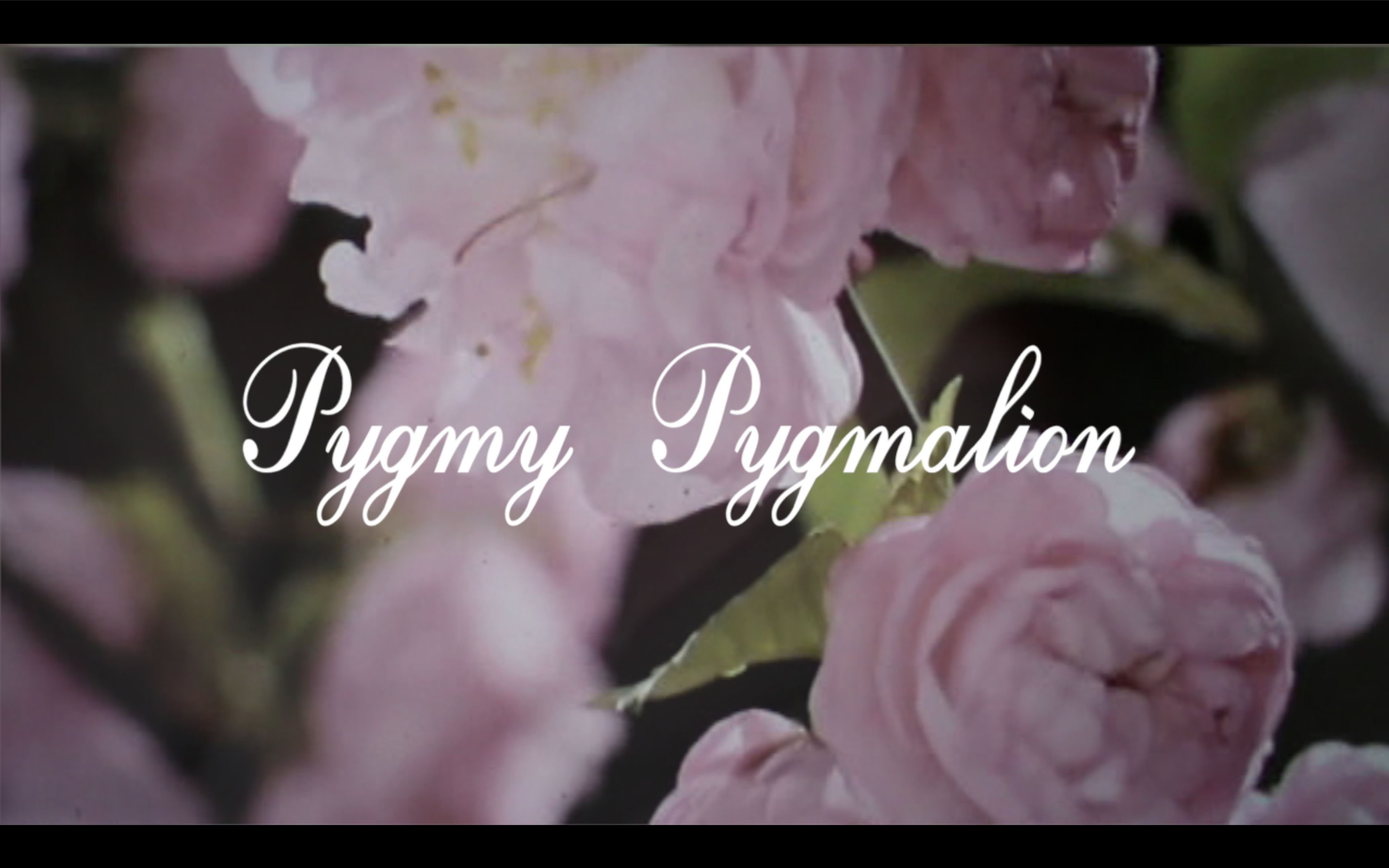 VINCENT EGON VERSCHUEREN