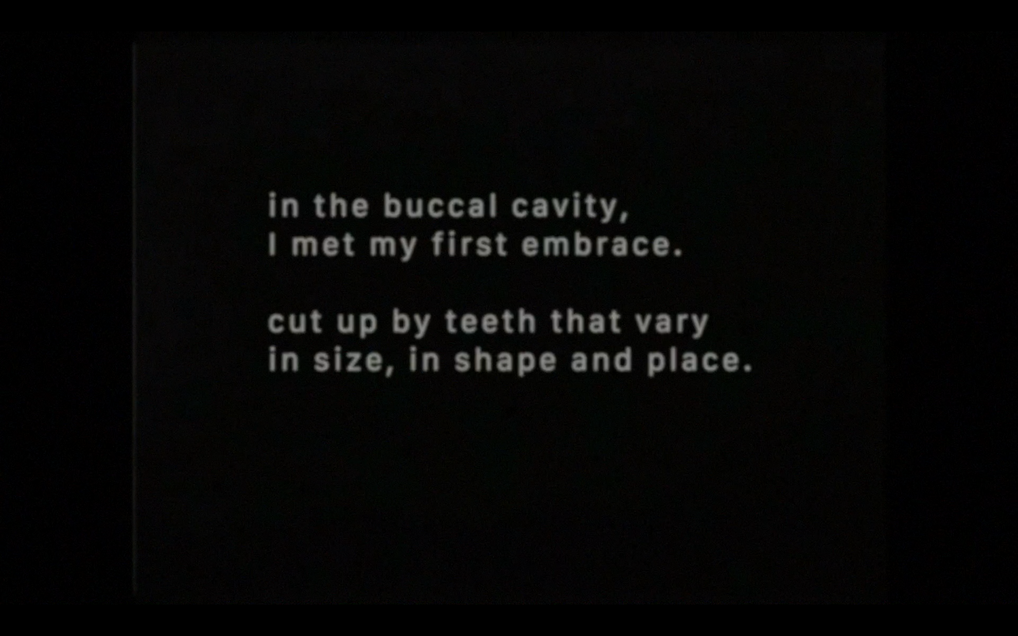 VINCENT EGON VERSCHUEREN