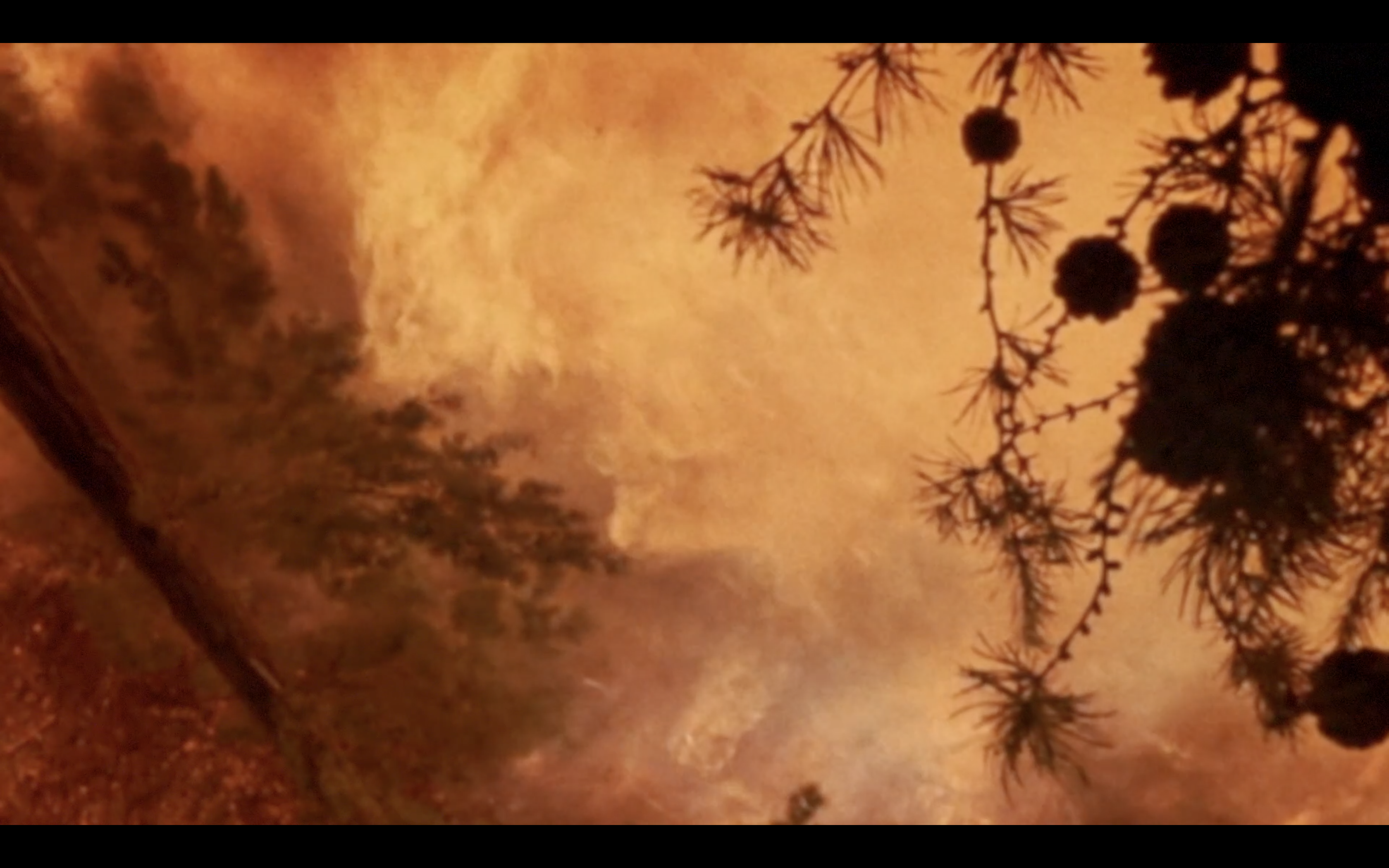 VINCENT EGON VERSCHUEREN