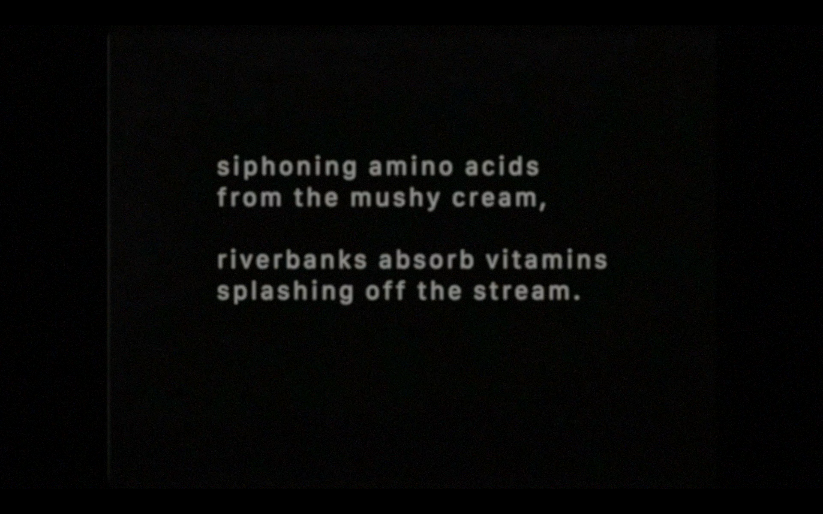 VINCENT EGON VERSCHUEREN