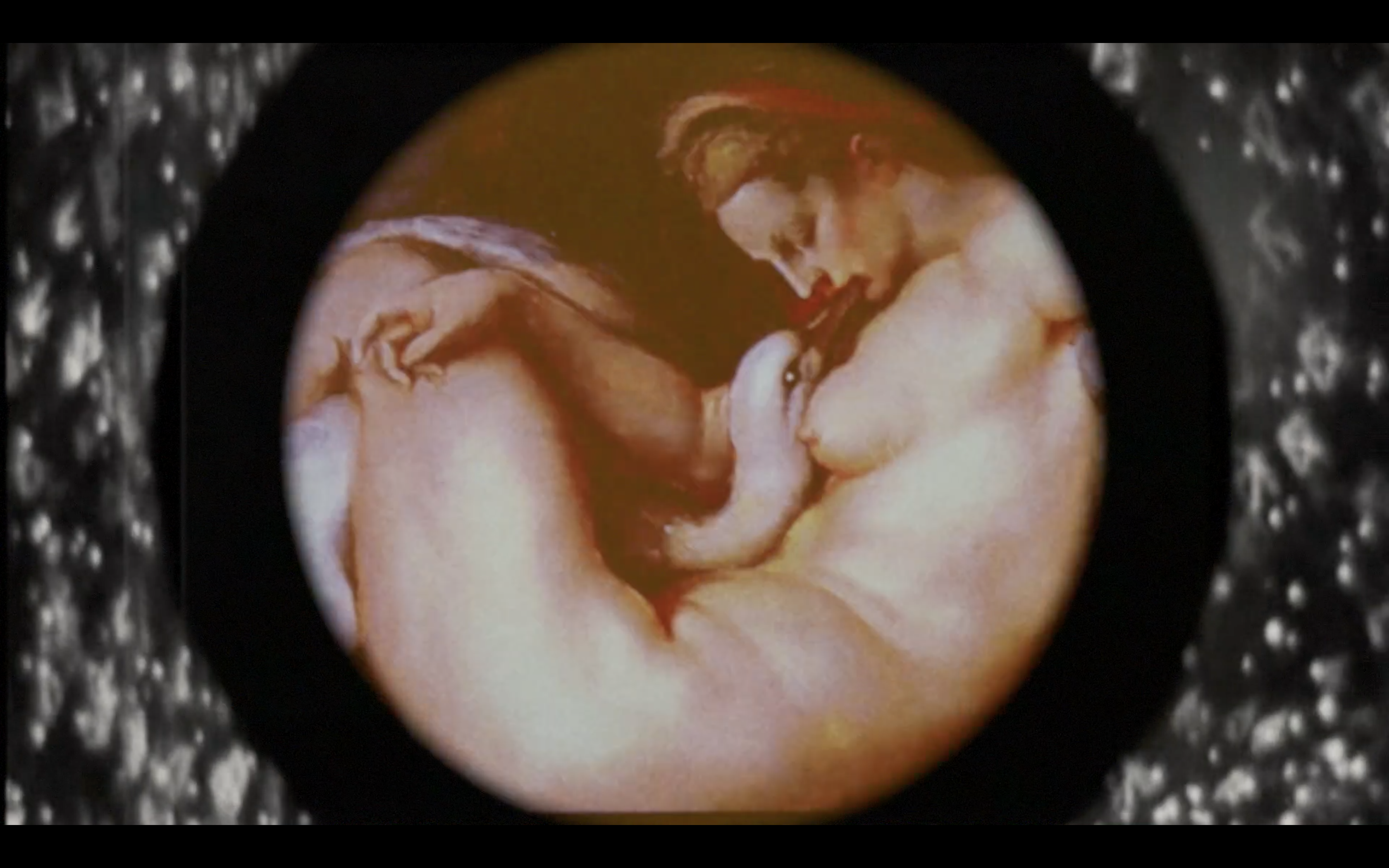 VINCENT EGON VERSCHUEREN