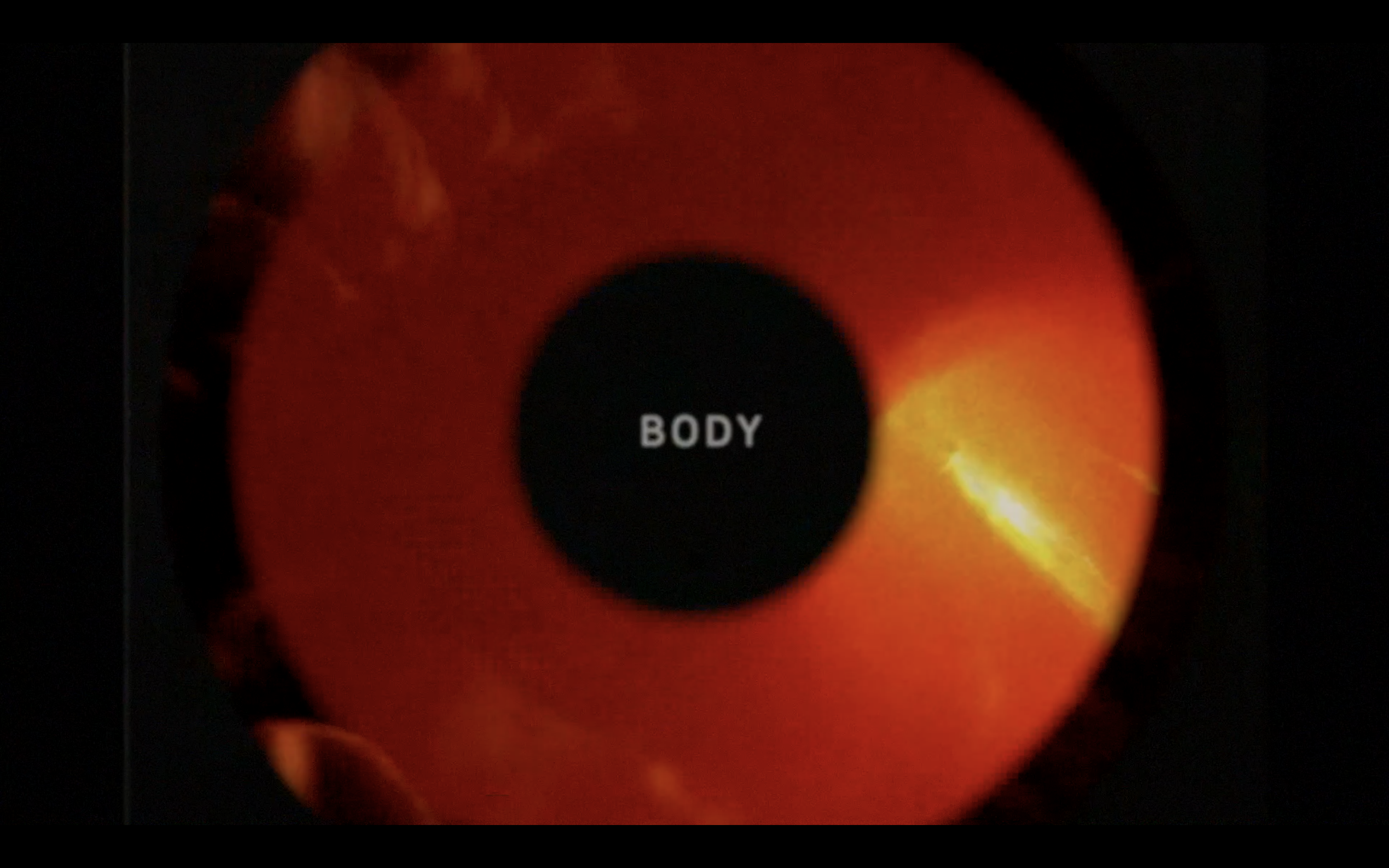 VINCENT EGON VERSCHUEREN